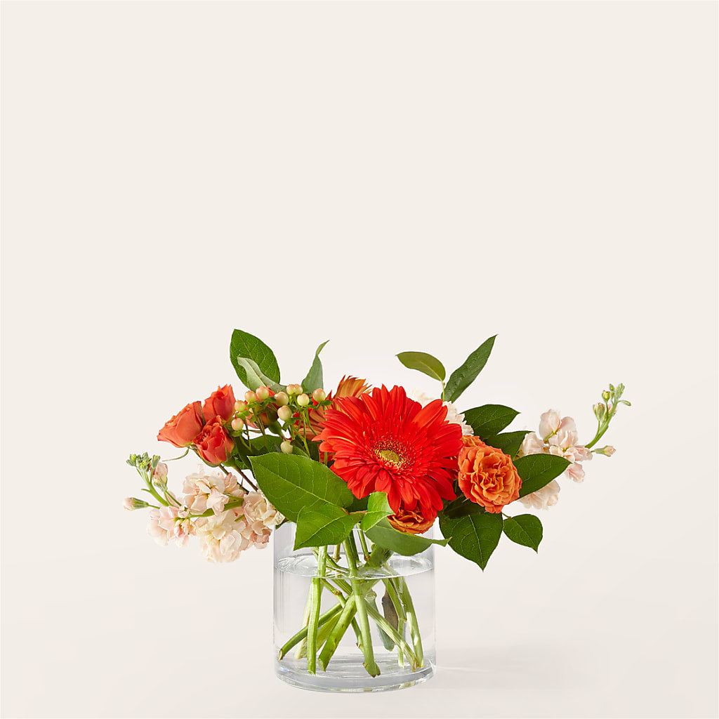 Paloma Please Bouquet – Honey Bee Blooms San Marcos, San Marcos CA