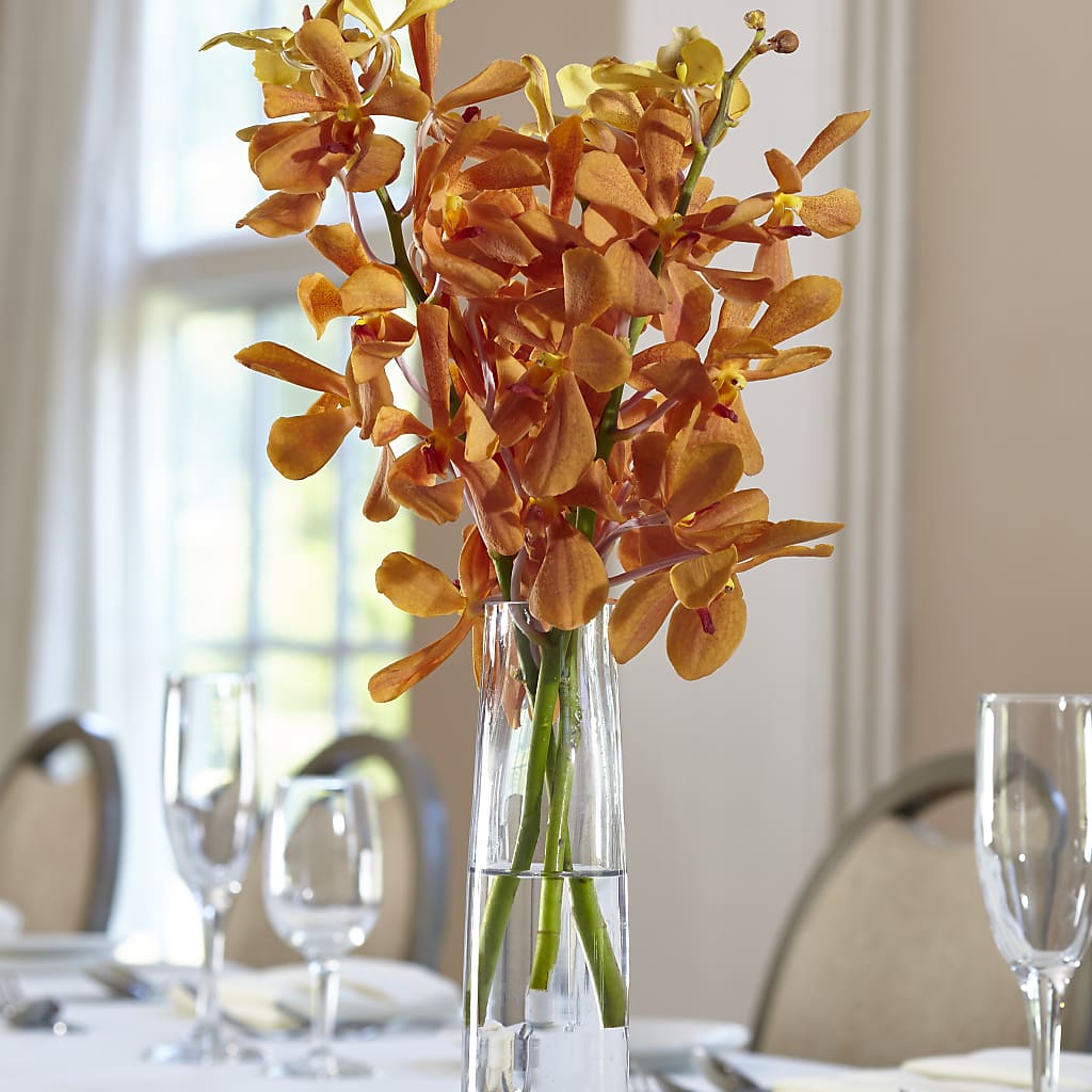 Orange Mokara Bud Vase – Honey Bee Blooms San Marcos, San Marcos CA