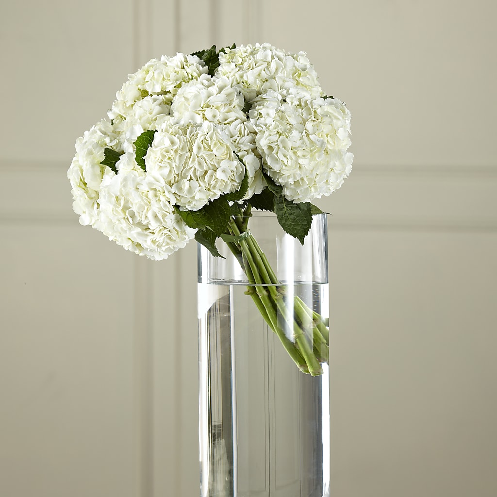 White Hydrangea Hand-Tied Bouquet – Honey Bee Blooms San Marcos, San Marcos CA