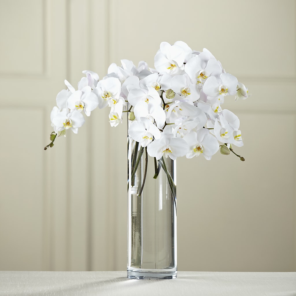 White Phalaenopsis Bouquet – Honey Bee Blooms San Marcos, San Marcos CA