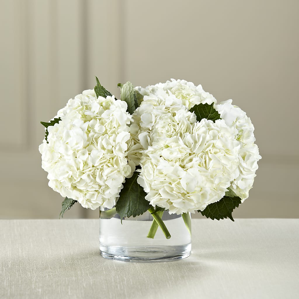 White Hydrangea Bouquet – Honey Bee Blooms San Marcos, San Marcos CA