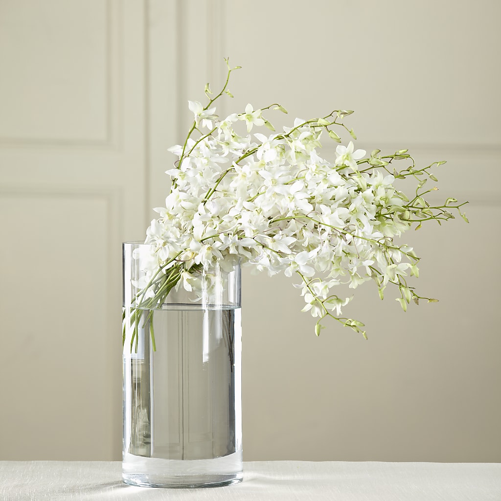 White Dendrobium Bouquet – Honey Bee Blooms San Marcos, San Marcos CA