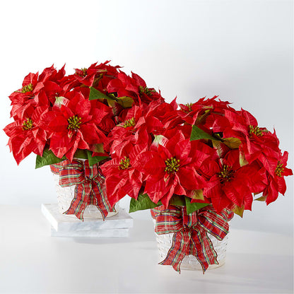 Happiest Holidays Poinsettia Bundle –  Honey Bee Blooms San Marcos, San Marcos CA