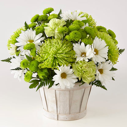 Lucky Charm Basket (Standard) –  Honey Bee Blooms San Marcos, San Marcos CA
