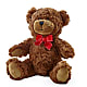 Adorable Plush Bear –  Honey Bee Blooms San Marcos, San Marcos CA