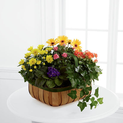 Gentle Blossoms Basket –  Honey Bee Blooms San Marcos, San Marcos CA