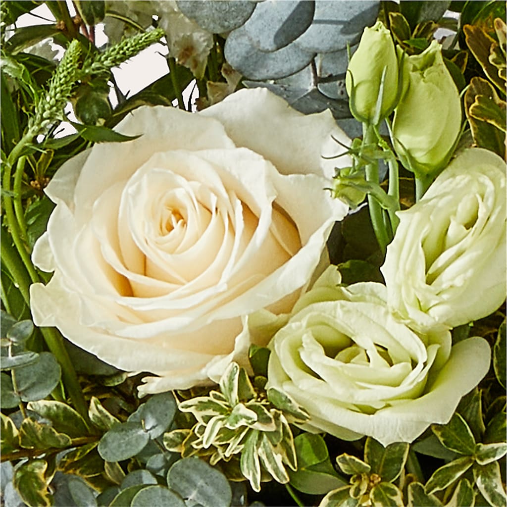 Cashmere Bouquet –  Honey Bee Blooms San Marcos, San Marcos CA