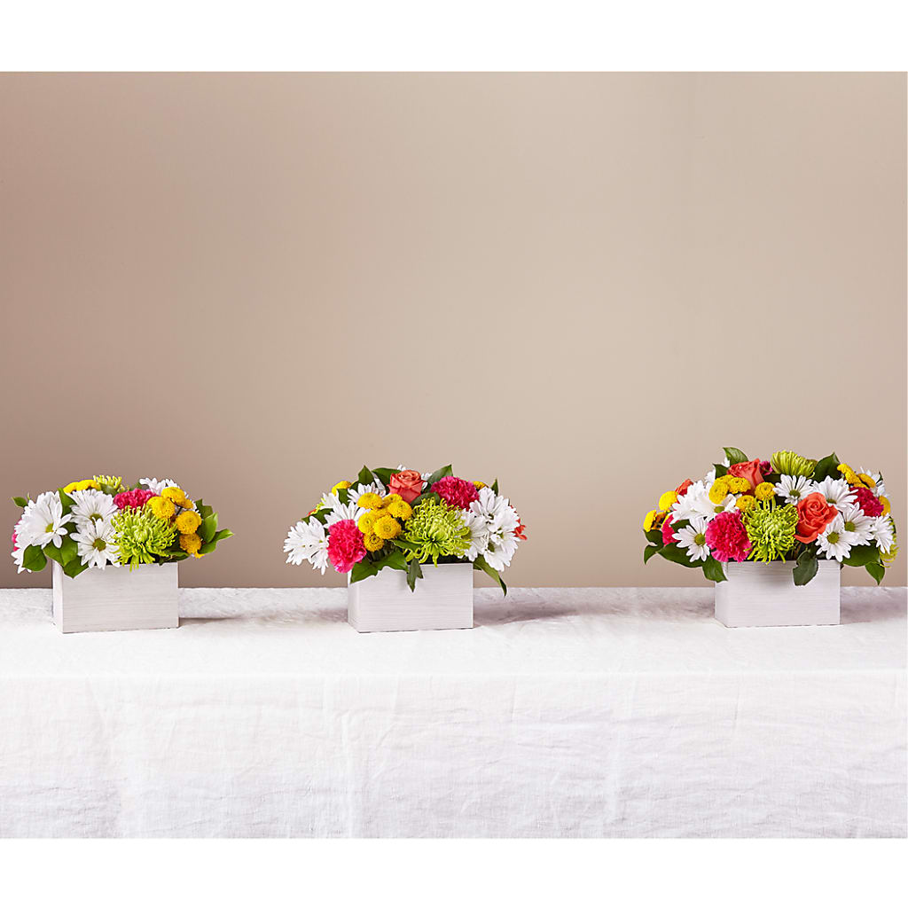 Sorbet Bouquet –  Honey Bee Blooms San Marcos, San Marcos CA