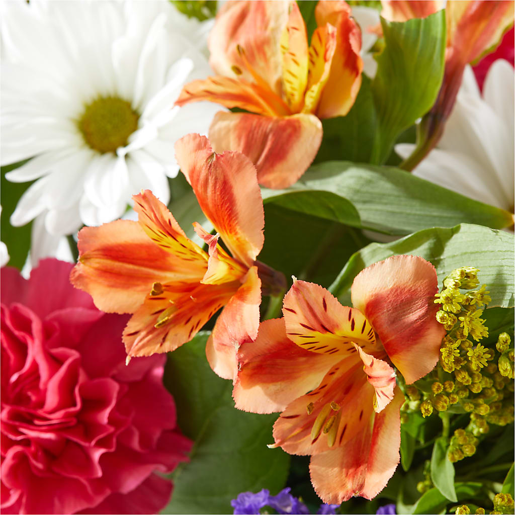 Oopsie Daisy Box Bouquet –  Honey Bee Blooms San Marcos, San Marcos CA