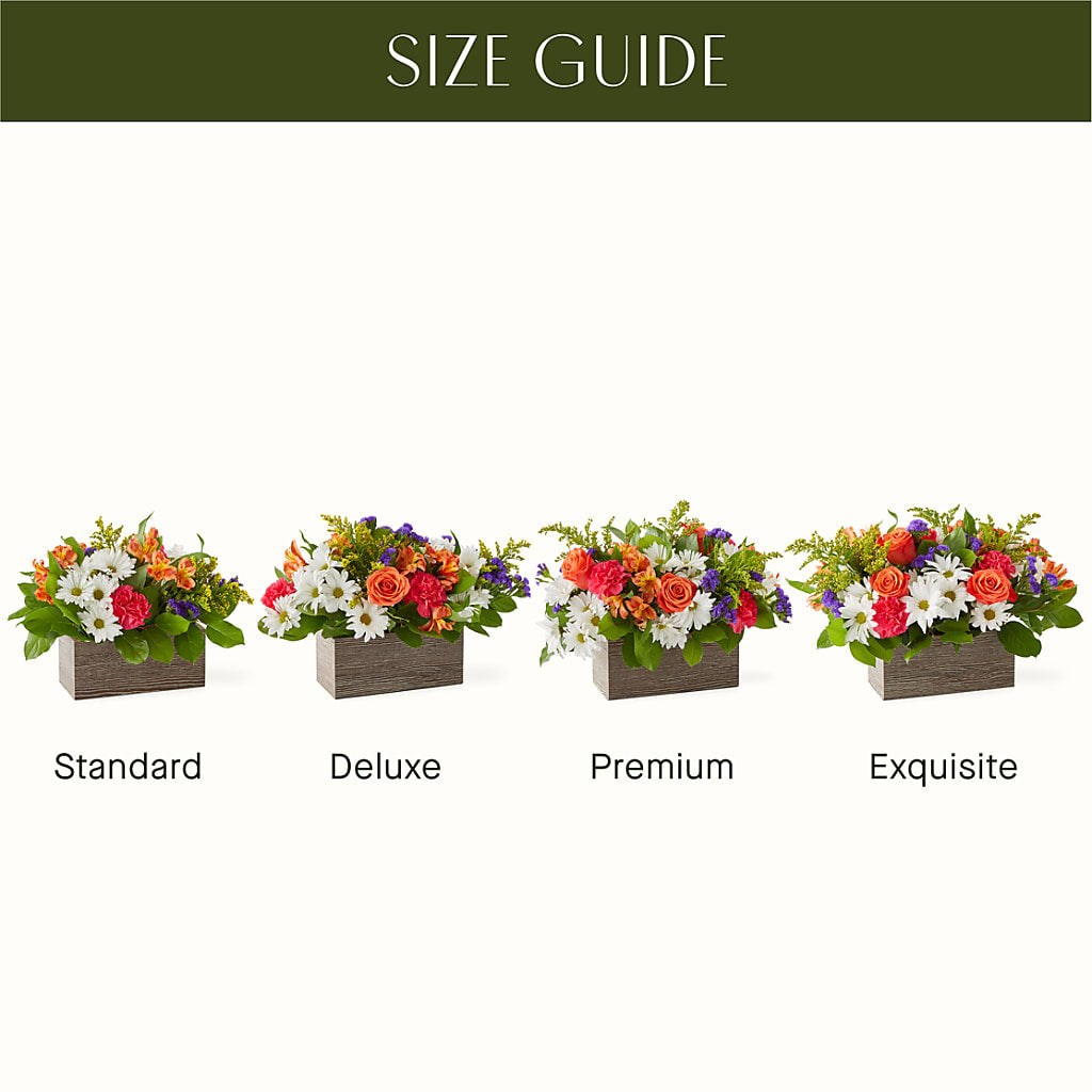 Oopsie Daisy Box Bouquet –  Honey Bee Blooms San Marcos, San Marcos CA