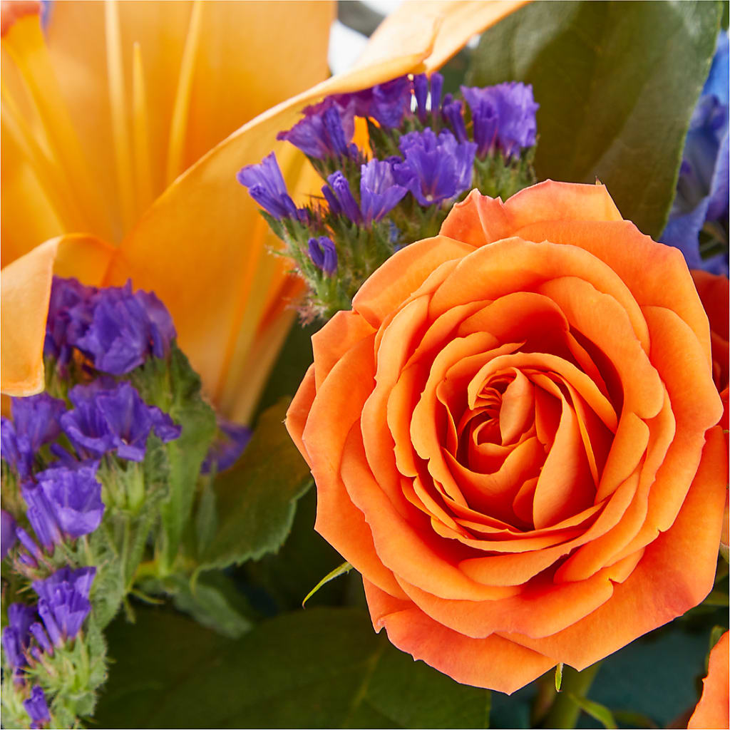 Radiant Citrus Box Bouquet –  Honey Bee Blooms San Marcos, San Marcos CA
