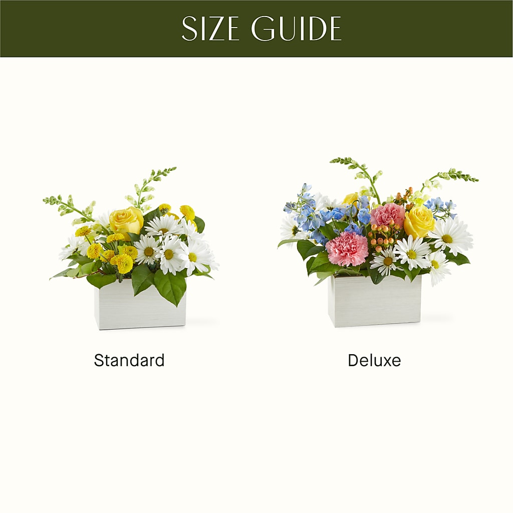 Sun Salutation Box Bouquet –  Honey Bee Blooms San Marcos, San Marcos CA