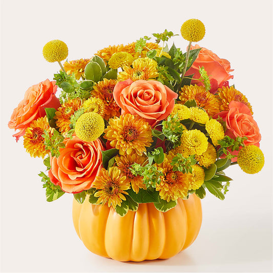 Gourdgeous Pumpkin –  Honey Bee Blooms San Marcos, San Marcos CA