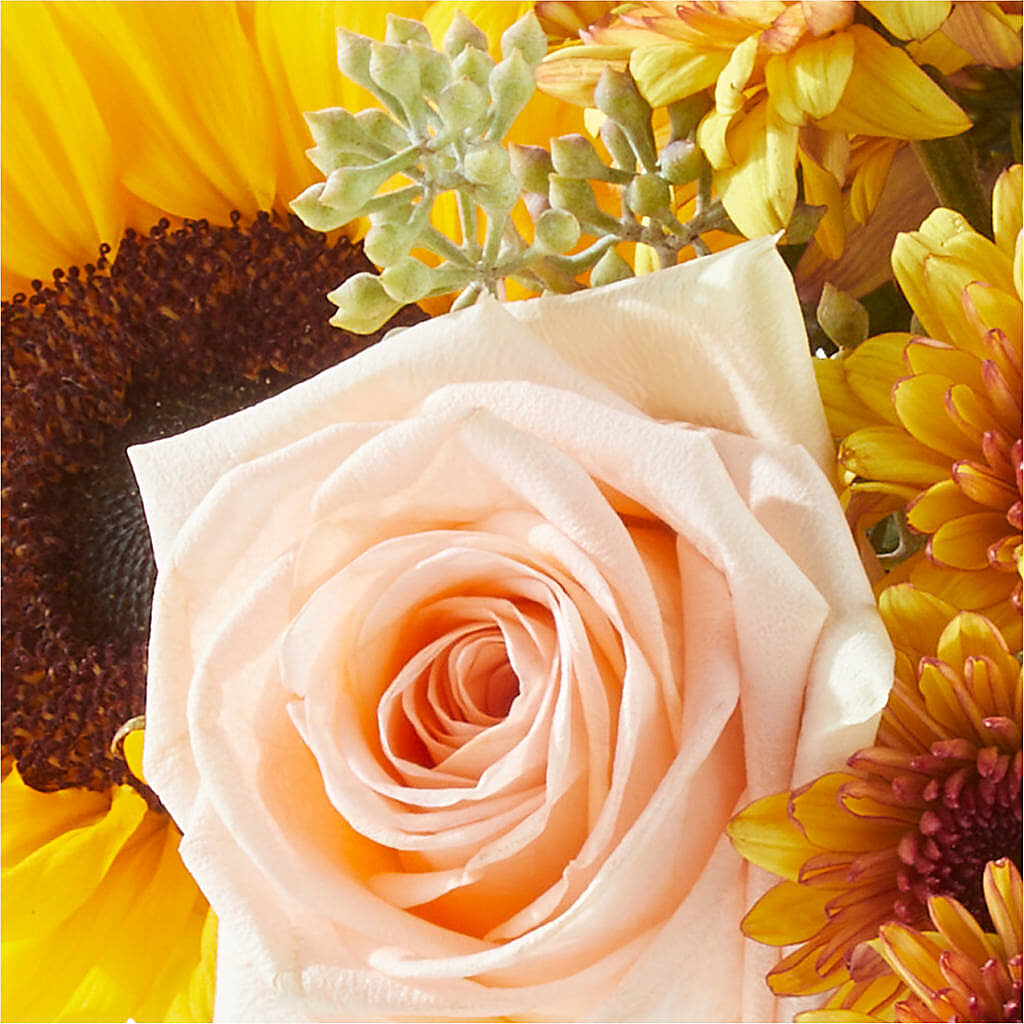 Pumpkin to Talk About Bouquet –  Honey Bee Blooms San Marcos, San Marcos CA