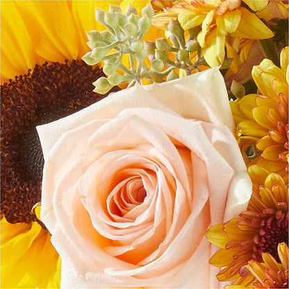 Pumpkin to Talk About Bouquet –  Honey Bee Blooms San Marcos, San Marcos CA