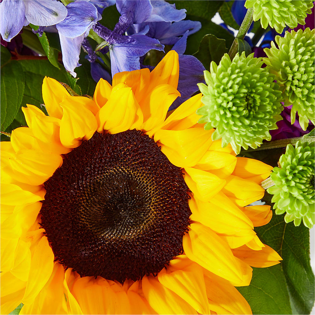 Catching Rays Bouquet –  Honey Bee Blooms San Marcos, San Marcos CA