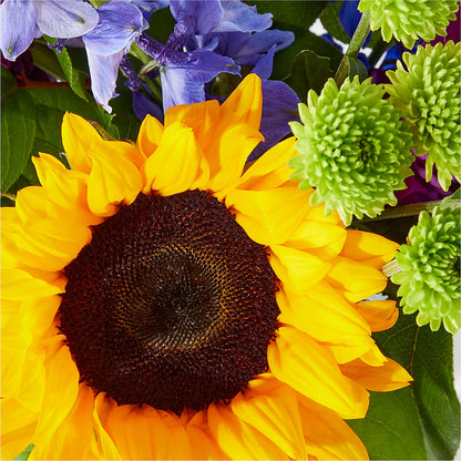 Catching Rays Bouquet –  Honey Bee Blooms San Marcos, San Marcos CA