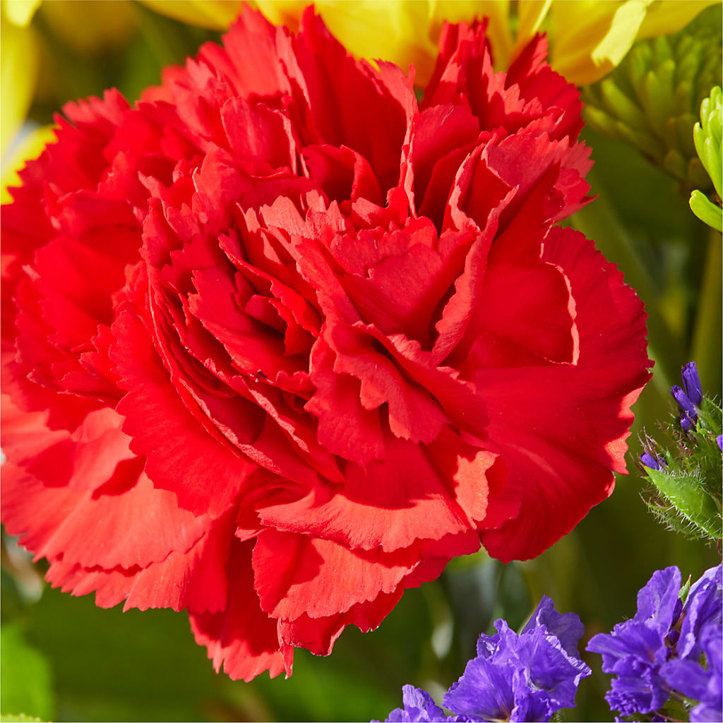Brighter Days Bouquet –  Honey Bee Blooms San Marcos, San Marcos CA