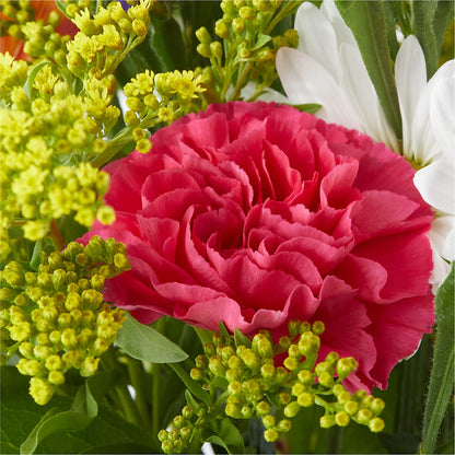 Oopsie Daisy Bouquet –  Honey Bee Blooms San Marcos, San Marcos CA