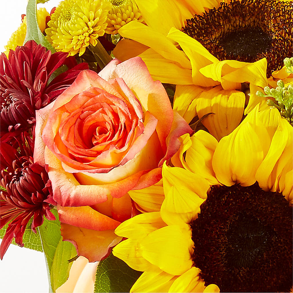 Golden Gourd Pumpkin Bouquet –  Honey Bee Blooms San Marcos, San Marcos CA
