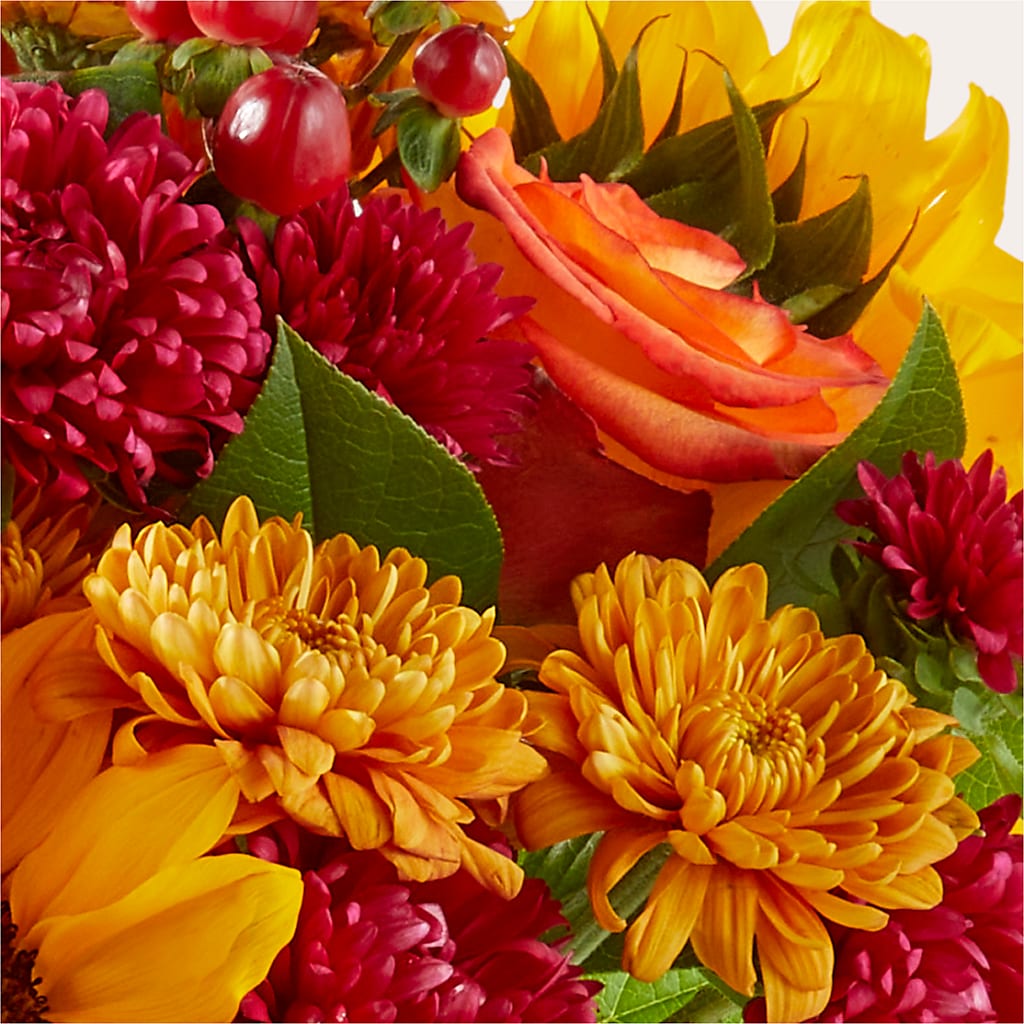 Sweater Season - A Florist Original –  Honey Bee Blooms San Marcos, San Marcos CA