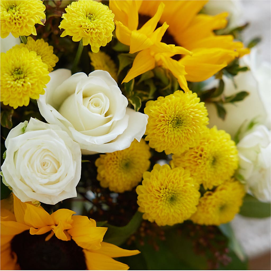 Luminous Morning Bouquet –  Honey Bee Blooms San Marcos, San Marcos CA