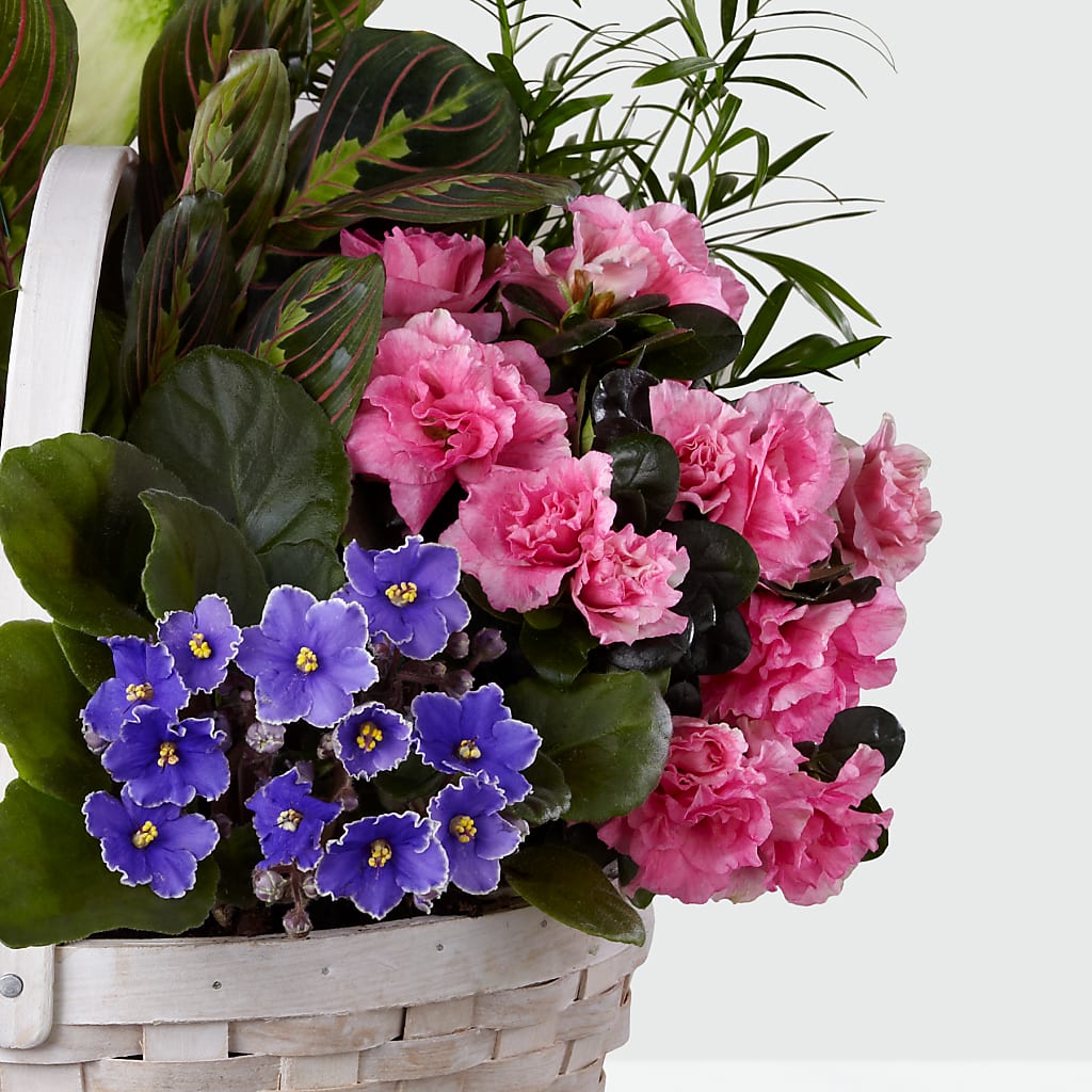 Peaceful Garden Planter –  Honey Bee Blooms San Marcos, San Marcos CA
