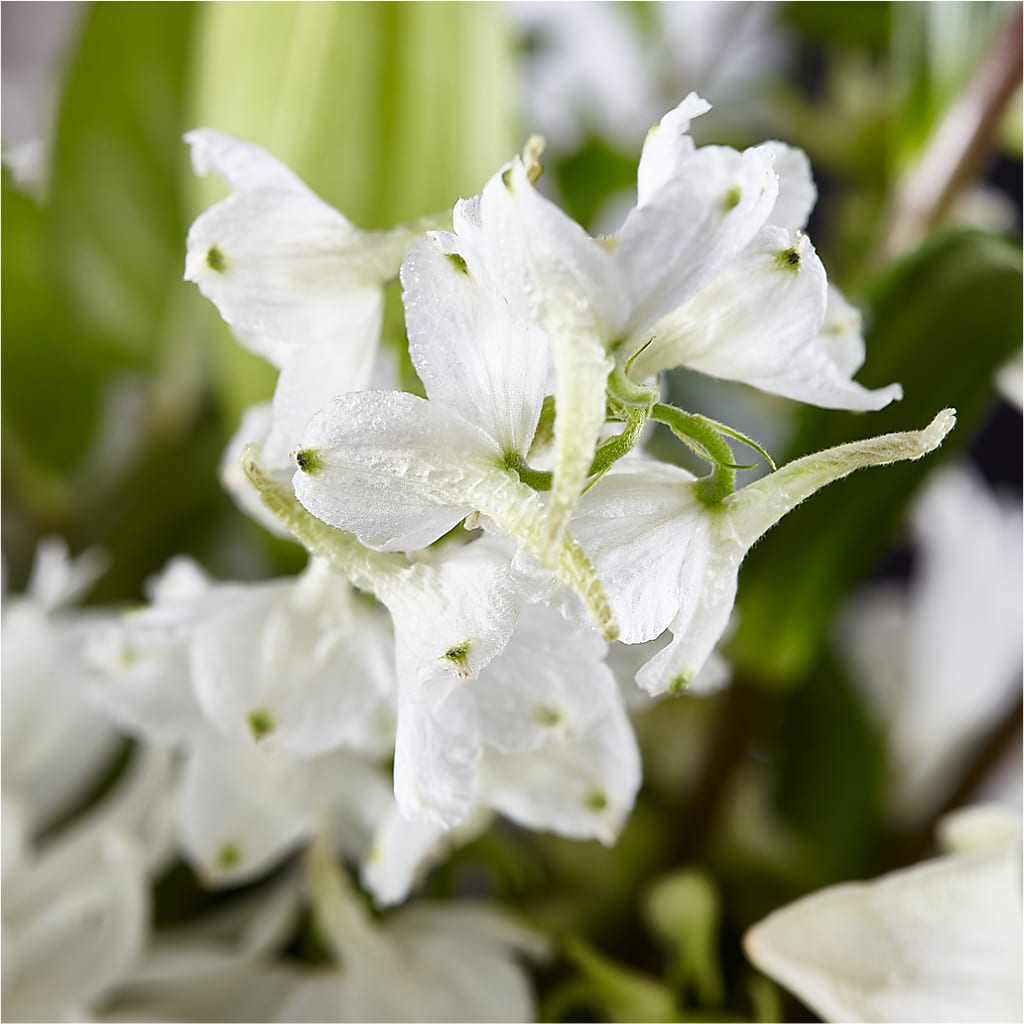 Classic Ivory – A Florist Original –  Honey Bee Blooms San Marcos, San Marcos CA