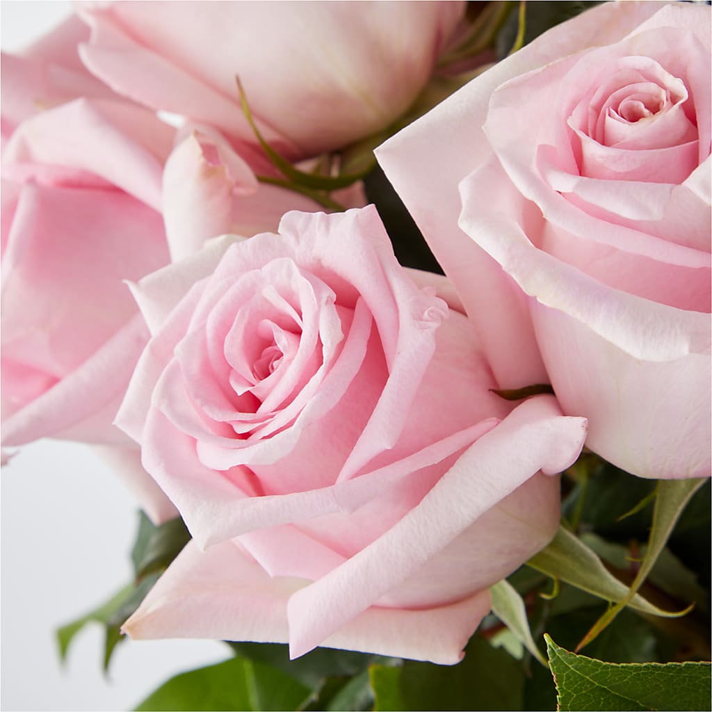 Picture Perfect Pink Rose Bouquet –  Honey Bee Blooms San Marcos, San Marcos CA