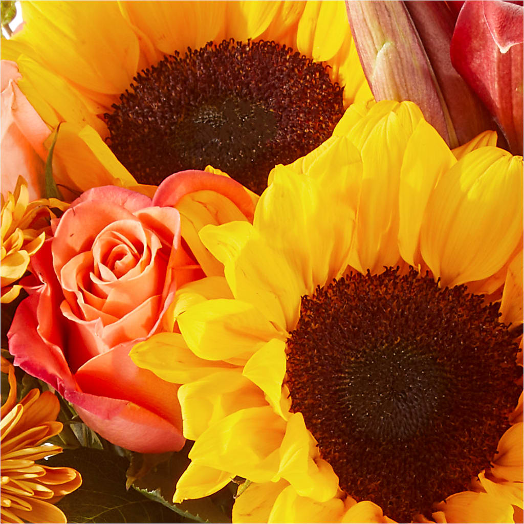 Acorn Lane Bouquet –  Honey Bee Blooms San Marcos, San Marcos CA