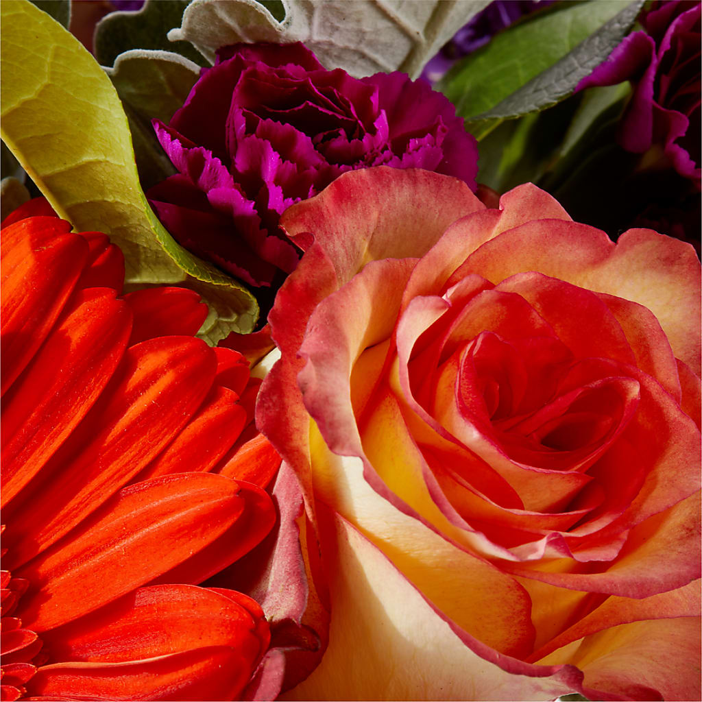 Sangria Bouquet –  Honey Bee Blooms San Marcos, San Marcos CA