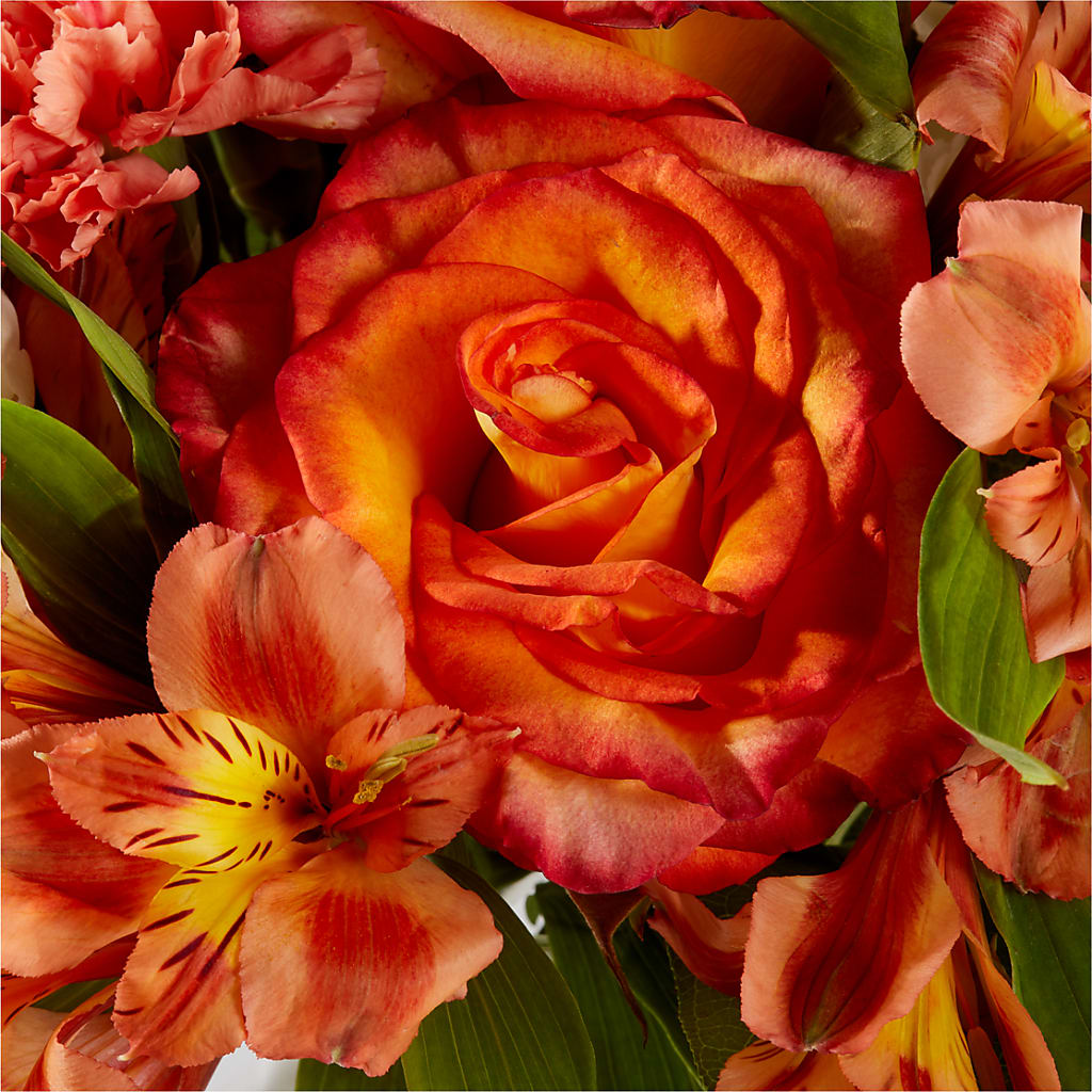 Apricot Glow Bouquet –  Honey Bee Blooms San Marcos, San Marcos CA