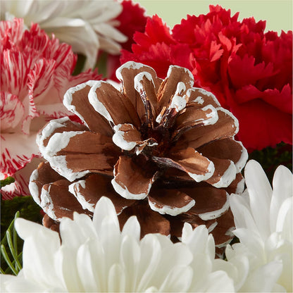 Candy Cane Lane Bouquet –  Honey Bee Blooms San Marcos, San Marcos CA