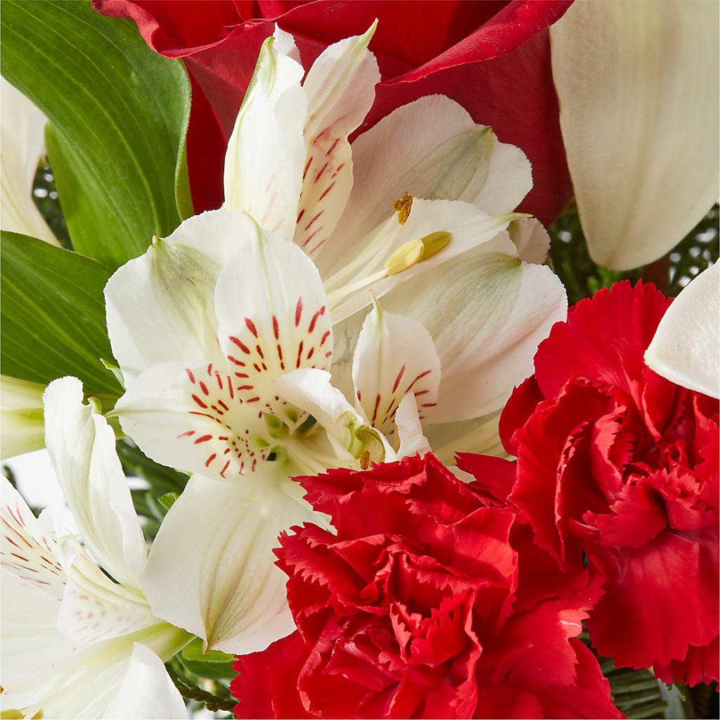 Holiday Season Bouquet –  Honey Bee Blooms San Marcos, San Marcos CA