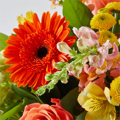 Autumn Sunshine Bouquet –  Honey Bee Blooms San Marcos, San Marcos CA