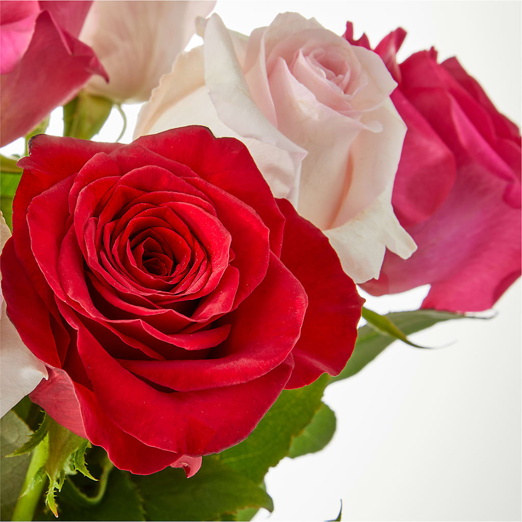 Charming Rose Bouquet –  Honey Bee Blooms San Marcos, San Marcos CA