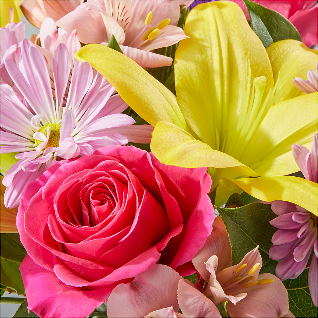 Sprinkles Bouquet –  Honey Bee Blooms San Marcos, San Marcos CA