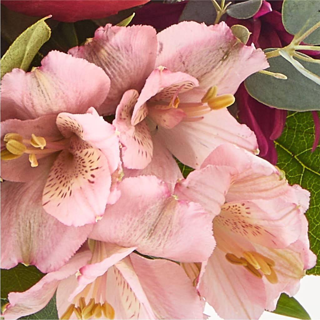 Berry Cobbler Bouquet –  Honey Bee Blooms San Marcos, San Marcos CA
