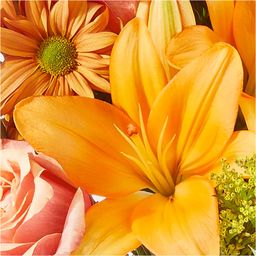 Harvest Hayride Bouquet –  Honey Bee Blooms San Marcos, San Marcos CA