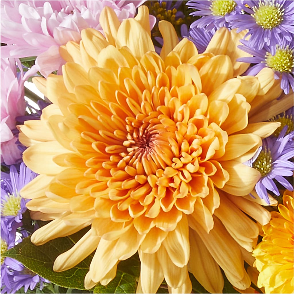 Countryside Bouquet –  Honey Bee Blooms San Marcos, San Marcos CA