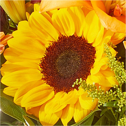 Seasons Change Bouquet –  Honey Bee Blooms San Marcos, San Marcos CA