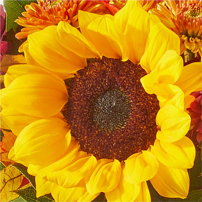 Sunny Side Bouquet –  Honey Bee Blooms San Marcos, San Marcos CA