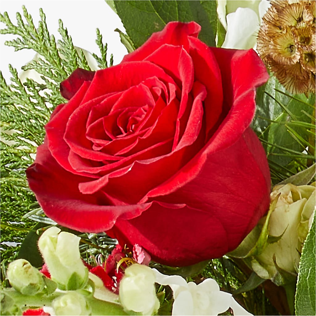 Deck the Halls Bouquet –  Honey Bee Blooms San Marcos, San Marcos CA