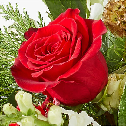 Deck the Halls Bouquet –  Honey Bee Blooms San Marcos, San Marcos CA