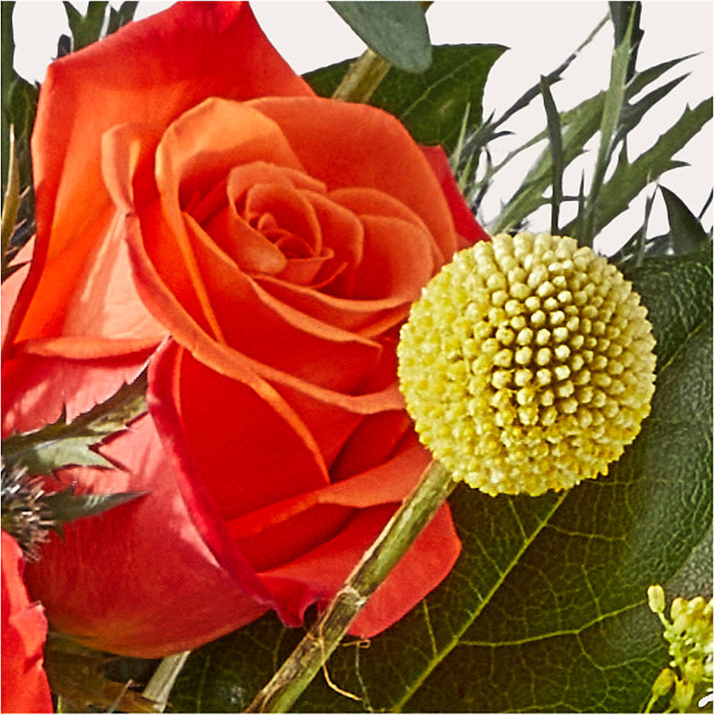 Disco Bouquet –  Honey Bee Blooms San Marcos, San Marcos CA
