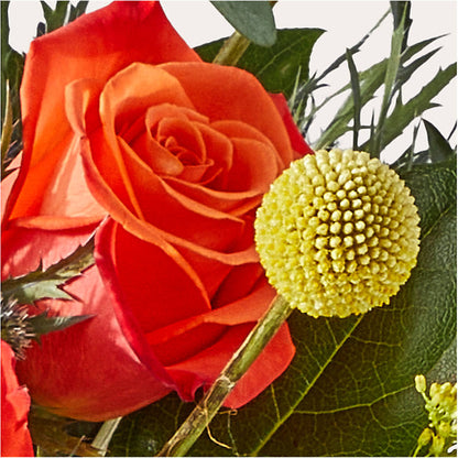 Disco Bouquet –  Honey Bee Blooms San Marcos, San Marcos CA