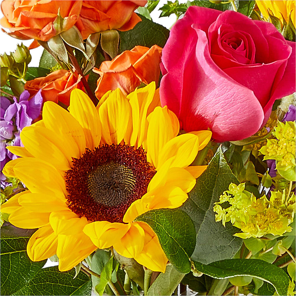 Vibrant Greetings Bouquet –  Honey Bee Blooms San Marcos, San Marcos CA