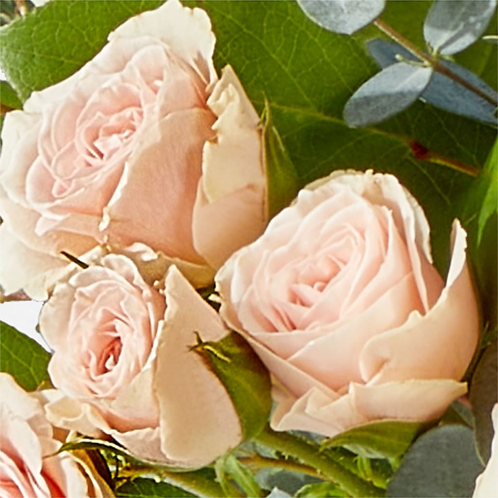 Inspired Bouquet –  Honey Bee Blooms San Marcos, San Marcos CA