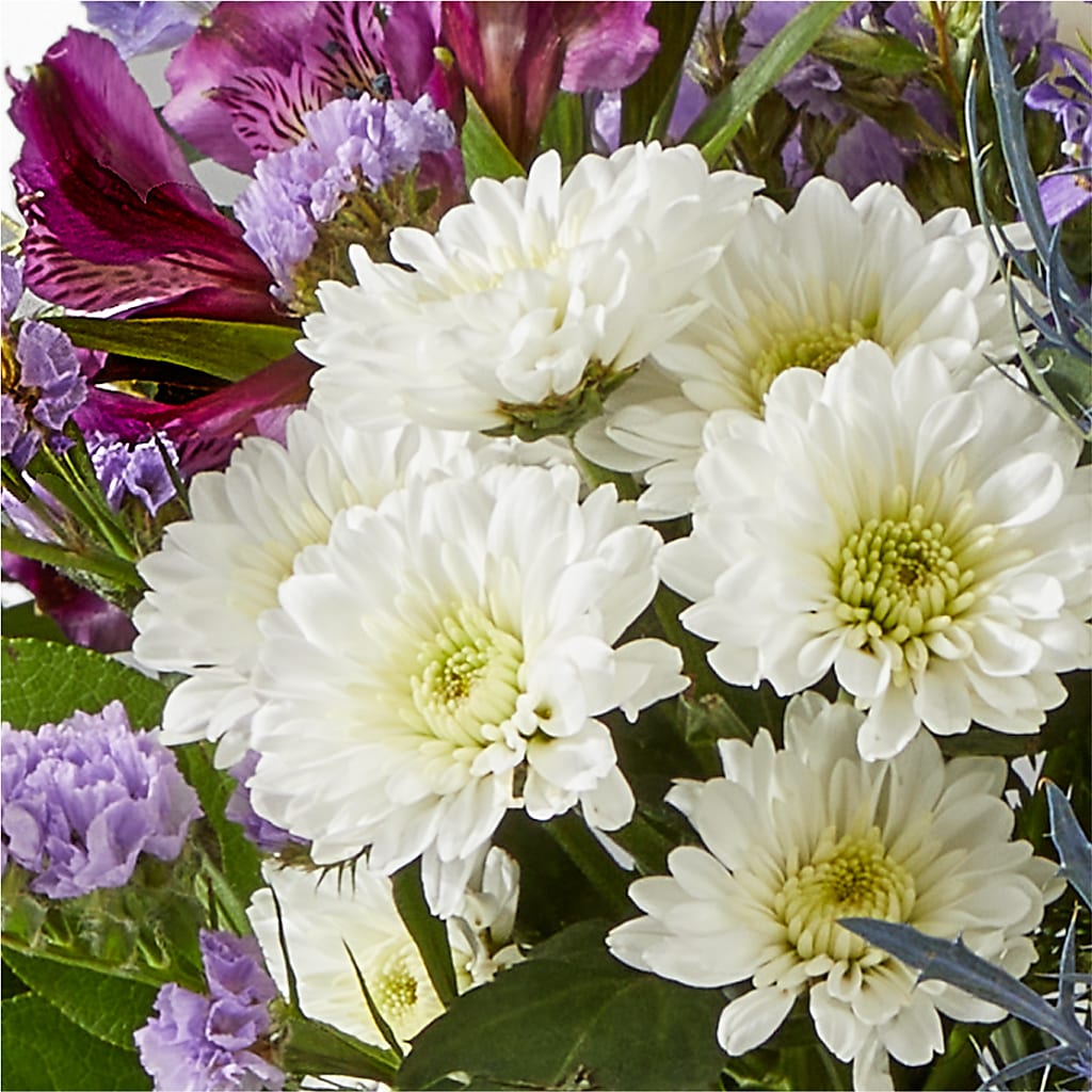 Shooting Star Bouquet –  Honey Bee Blooms San Marcos, San Marcos CA