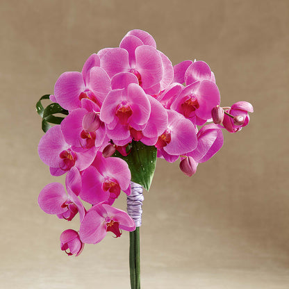 Glorious Bouquet –  Honey Bee Blooms San Marcos, San Marcos CA